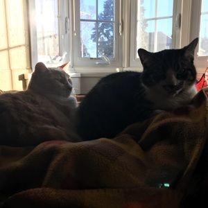 Meet your Posher, Ava